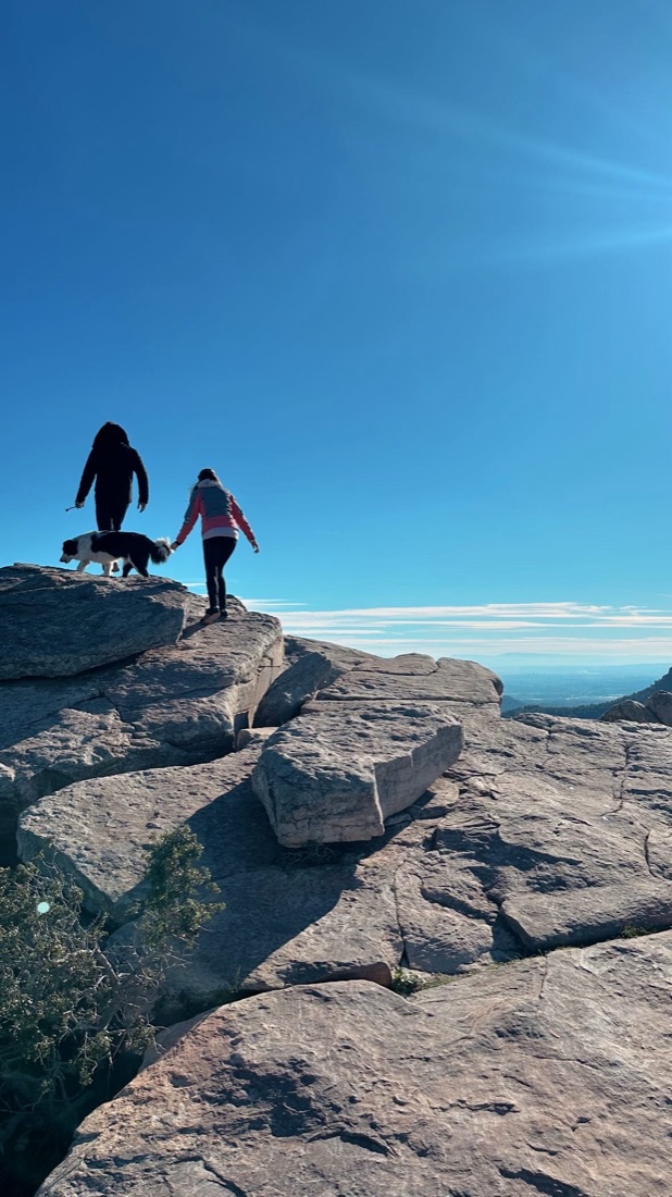 Two hikers and a dog on a mountaintop