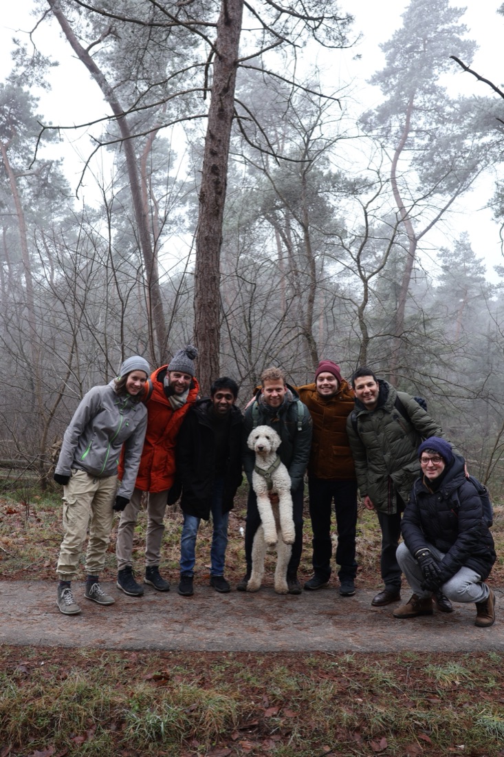 The GoDoIt hiking community in a misty forest